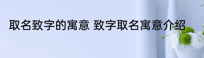 取名致字的寓意 致字取名寓意介绍