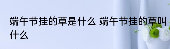 端午节挂的草是什么 端午节挂的草叫什么