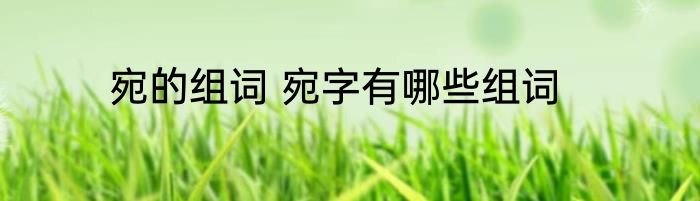 宛的组词 宛字有哪些组词
