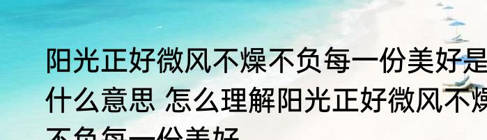 阳光正好微风不燥不负每一份美好是什么意思 怎么理解阳光正好微风不燥不负每一份美好