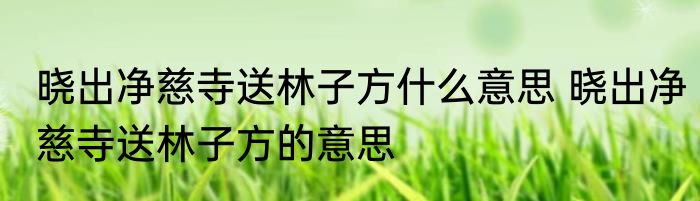 晓出净慈寺送林子方什么意思 晓出净慈寺送林子方的意思