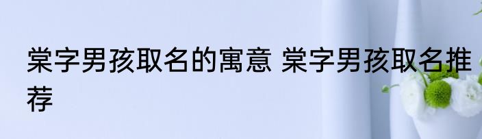 棠字男孩取名的寓意 棠字男孩取名推荐