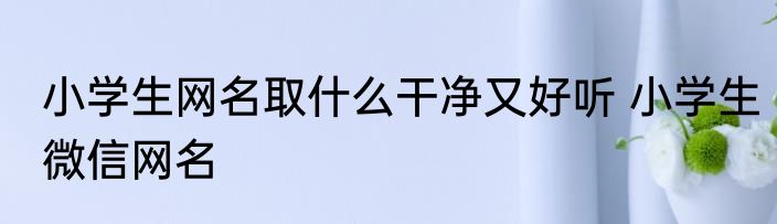 小学生网名取什么干净又好听 小学生微信网名