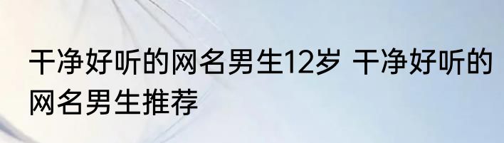 干净好听的网名男生12岁 干净好听的网名男生推荐