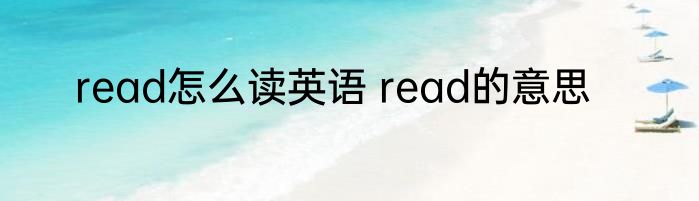 read怎么读英语 read的意思