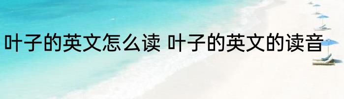 叶子的英文怎么读 叶子的英文的读音