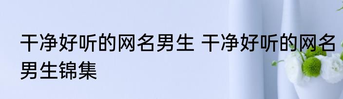 干净好听的网名男生 干净好听的网名男生锦集