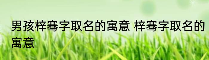 男孩梓骞字取名的寓意 梓骞字取名的寓意