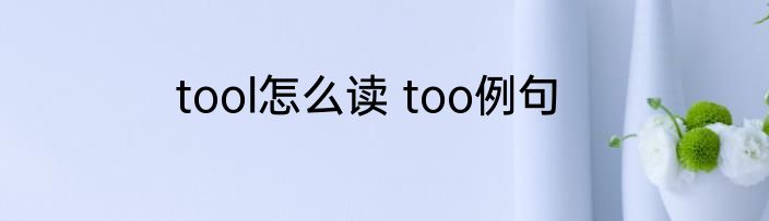 tool怎么读 too例句