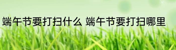 端午节要打扫什么 端午节要打扫哪里