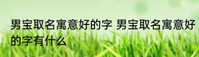 男宝取名寓意好的字 男宝取名寓意好的字有什么