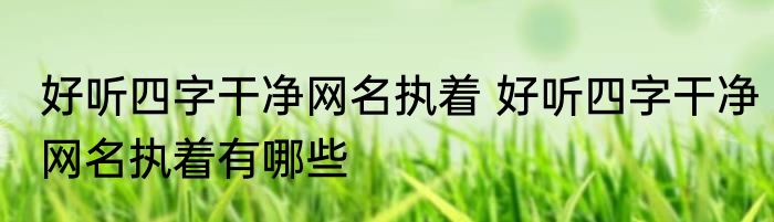 好听四字干净网名执着 好听四字干净网名执着有哪些