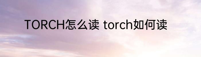 TORCH怎么读 torch如何读