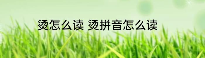 烫怎么读 烫拼音怎么读