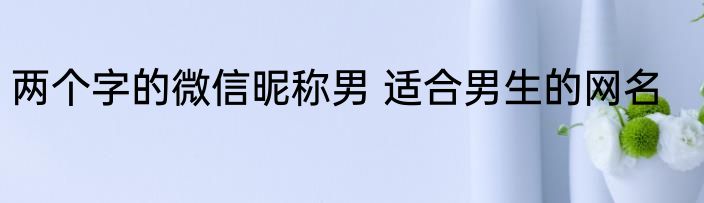 两个字的微信昵称男 适合男生的网名
