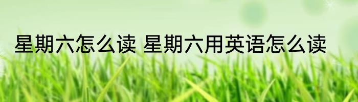 星期六怎么读 星期六用英语怎么读