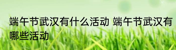 端午节武汉有什么活动 端午节武汉有哪些活动