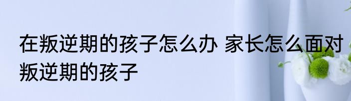 在叛逆期的孩子怎么办 家长怎么面对叛逆期的孩子