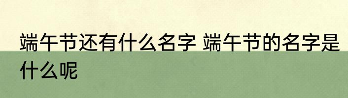 端午节还有什么名字 端午节的名字是什么呢