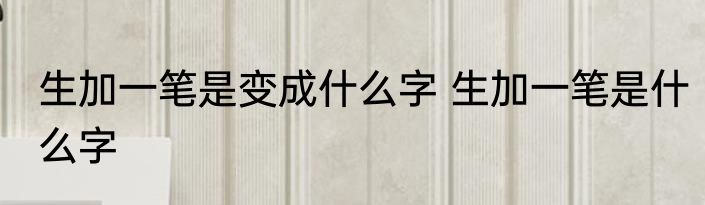 生加一笔是变成什么字 生加一笔是什么字