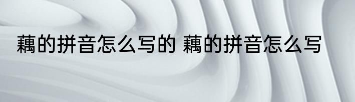 藕的拼音怎么写的 藕的拼音怎么写