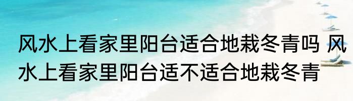 风水上看家里阳台适合地栽冬青吗 风水上看家里阳台适不适合地栽冬青