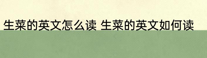 生菜的英文怎么读 生菜的英文如何读