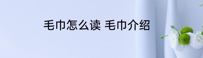毛巾怎么读 毛巾介绍