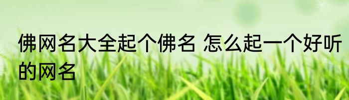 佛网名大全起个佛名 怎么起一个好听的网名