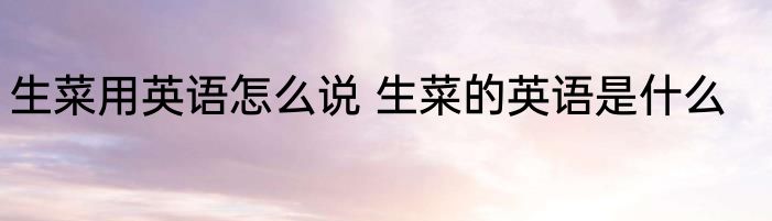 生菜用英语怎么说 生菜的英语是什么
