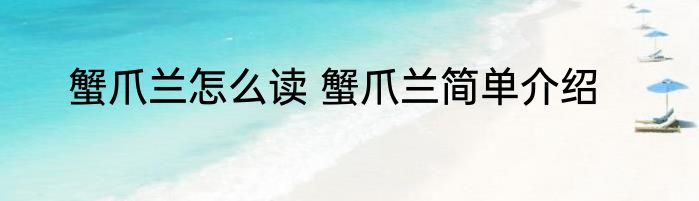 蟹爪兰怎么读 蟹爪兰简单介绍