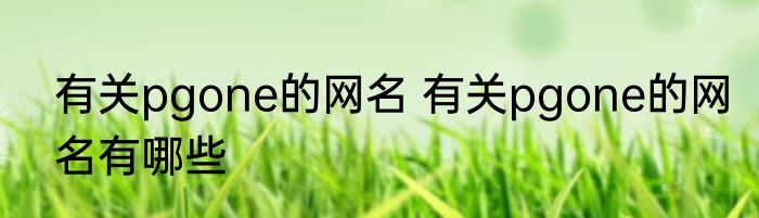 有关pgone的网名 有关pgone的网名有哪些