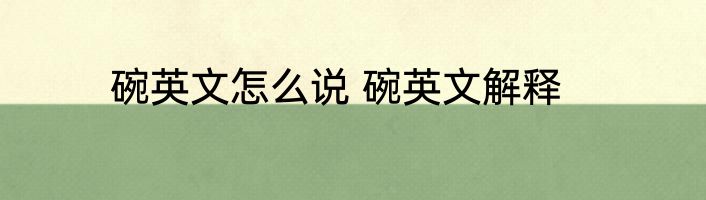 碗英文怎么说 碗英文解释