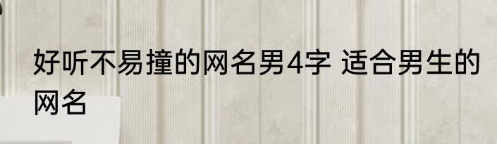 好听不易撞的网名男4字 适合男生的网名