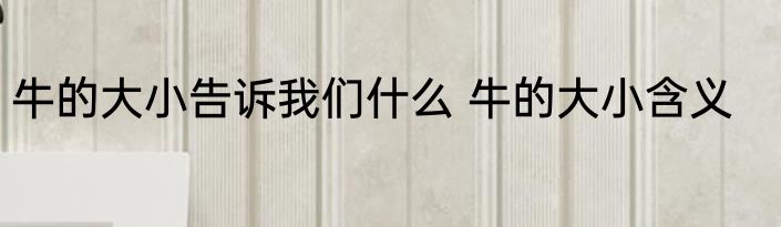 牛的大小告诉我们什么 牛的大小含义
