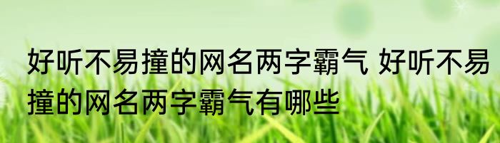 好听不易撞的网名两字霸气 好听不易撞的网名两字霸气有哪些