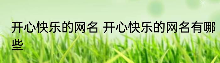 开心快乐的网名 开心快乐的网名有哪些