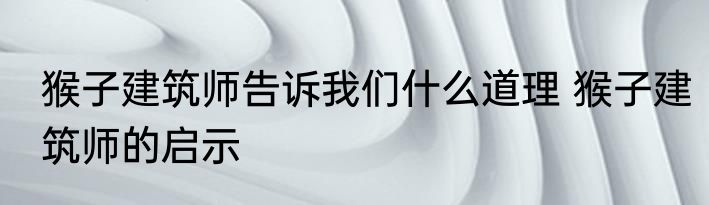 猴子建筑师告诉我们什么道理 猴子建筑师的启示