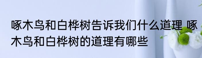 啄木鸟和白桦树告诉我们什么道理 啄木鸟和白桦树的道理有哪些
