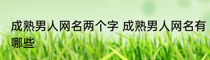 成熟男人网名两个字 成熟男人网名有哪些