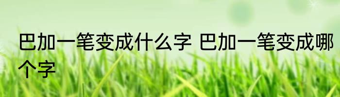 巴加一笔变成什么字 巴加一笔变成哪个字