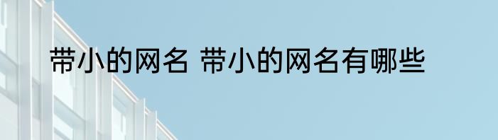 带小的网名 带小的网名有哪些