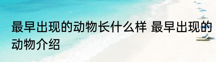 最早出现的动物长什么样 最早出现的动物介绍