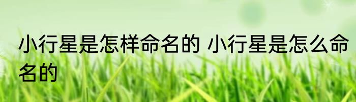 小行星是怎样命名的 小行星是怎么命名的