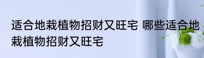 适合地栽植物招财又旺宅 哪些适合地栽植物招财又旺宅