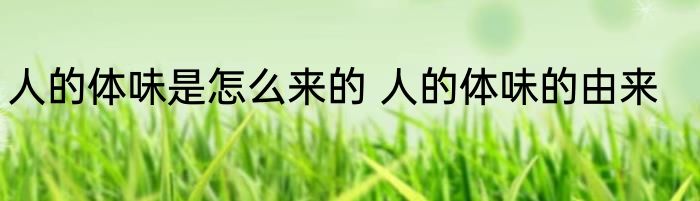 人的体味是怎么来的 人的体味的由来