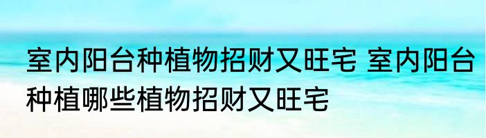 室内阳台种植物招财又旺宅 室内阳台种植哪些植物招财又旺宅