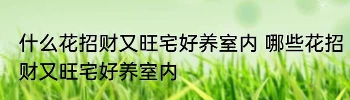 什么花招财又旺宅好养室内 哪些花招财又旺宅好养室内