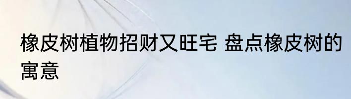 橡皮树植物招财又旺宅 盘点橡皮树的寓意