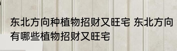 东北方向种植物招财又旺宅 东北方向有哪些植物招财又旺宅